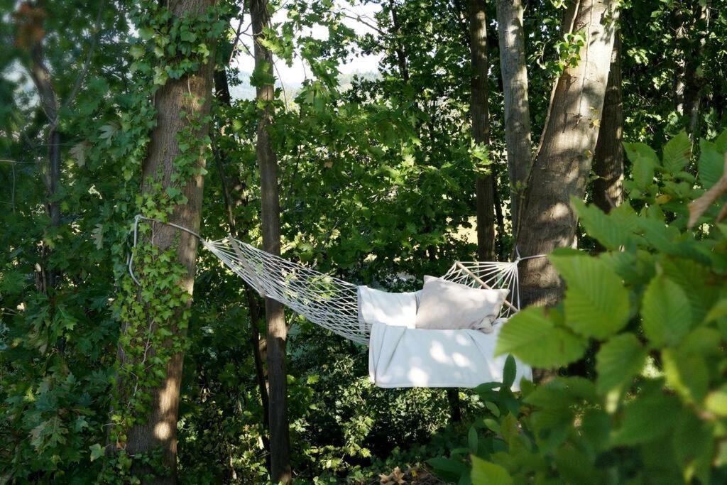 Wohnung Am Fusse Des Schwarzwalds Оберкірх Екстер'єр фото